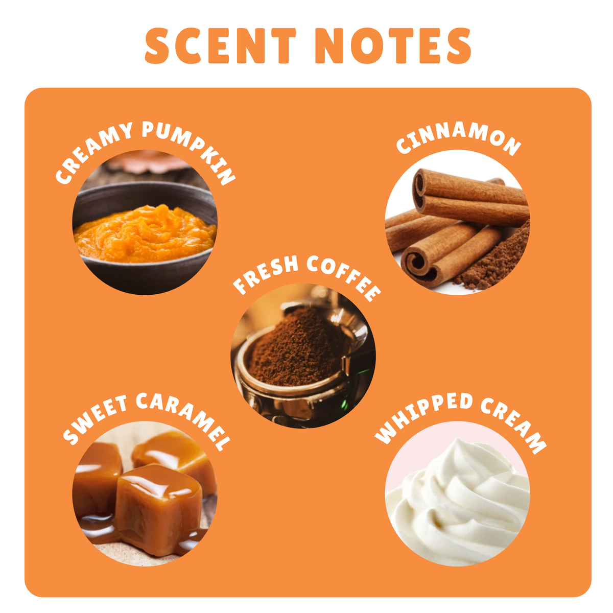 PUMPKIN SPICE LATTE BODY LOTION