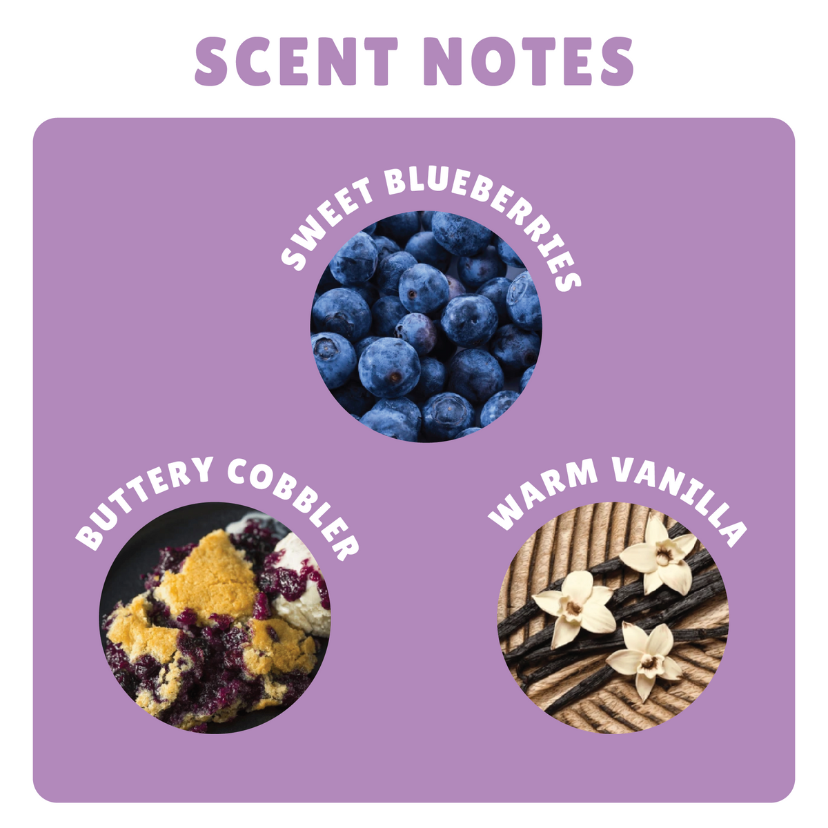 BLUEBERRY COBBLER SHIMMERING BODY OIL