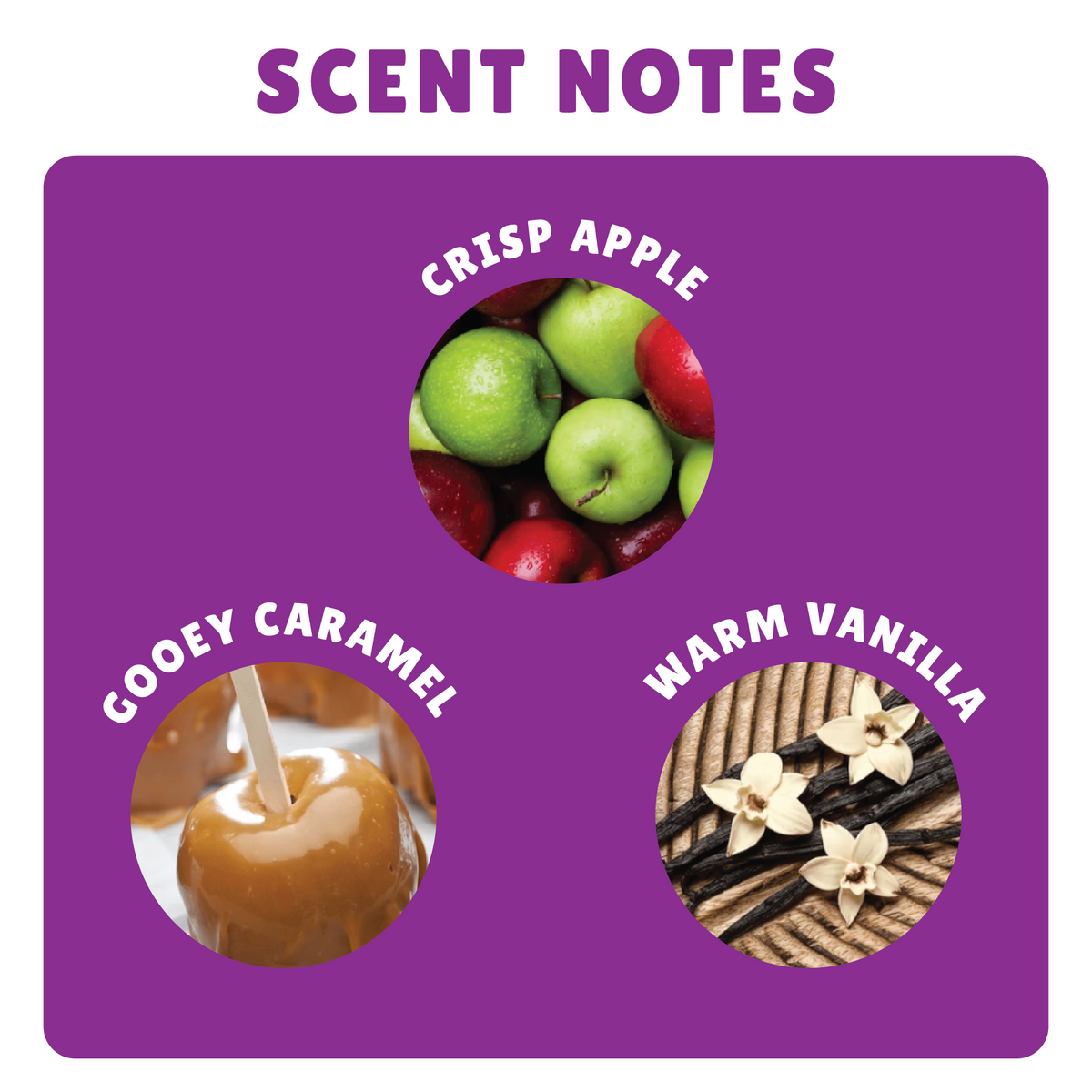 CARAMLE POISON APPLE BODY YOGURT